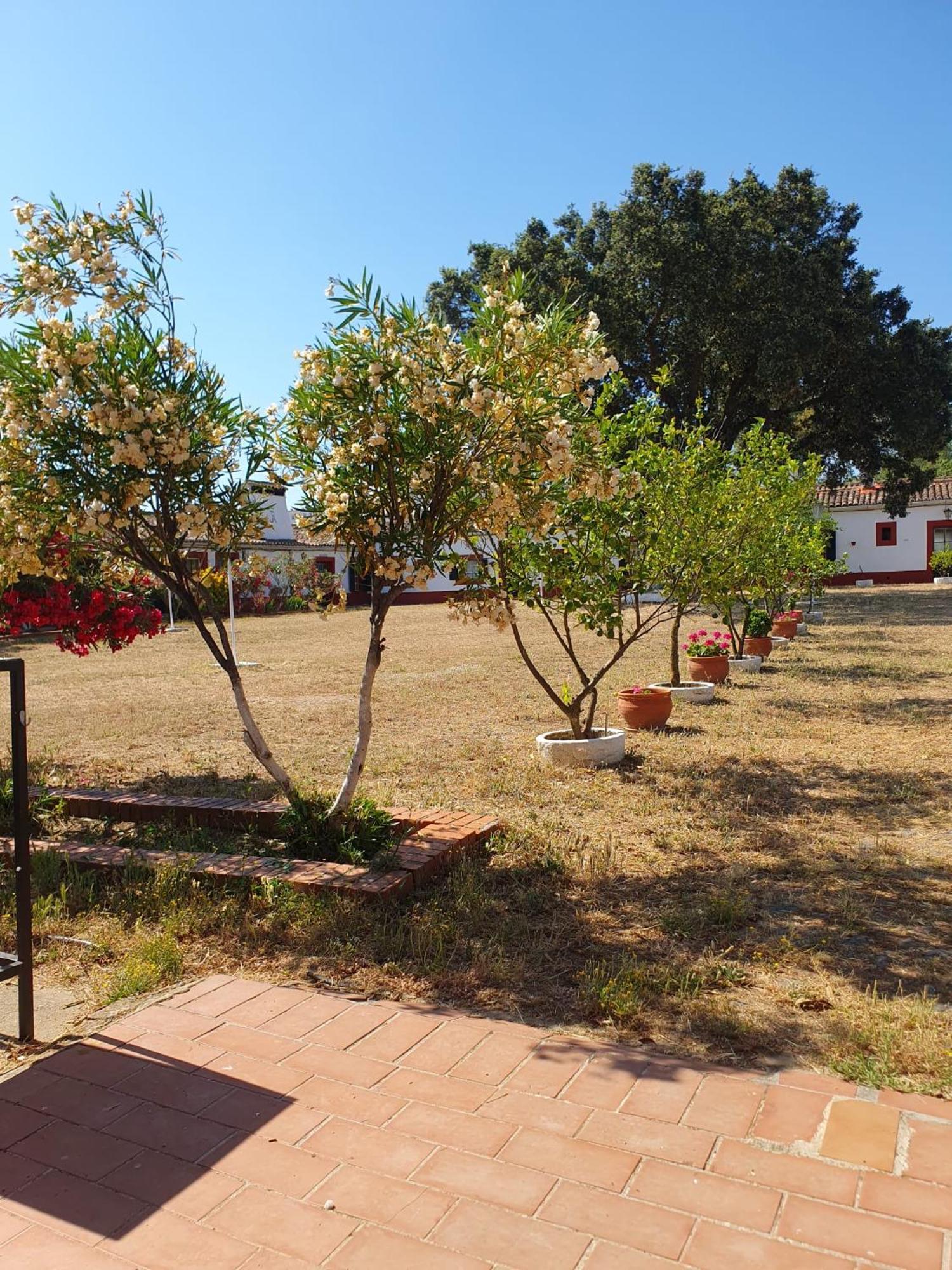 Hotel Rural El Vaqueril Navas del Madroño Exteriör bild